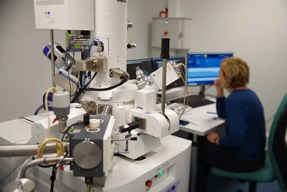 Microscope électronique à balayage